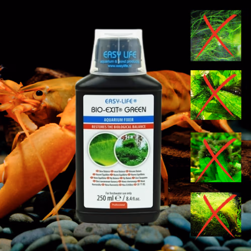 Algexit BIO - Anti-Algue Verte Safe Crevettes - 250 ml - EASY LIFE Le Crevettilus