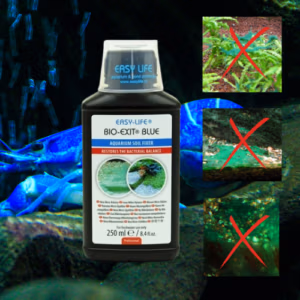 Blue Exit BIO – Anti-Algue Bleu Cyanobactérie – 250ml – EASY LIFE