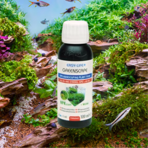 Green Scape – Plantes Vertes Exigeantes & Crevettes – EASY LIFE