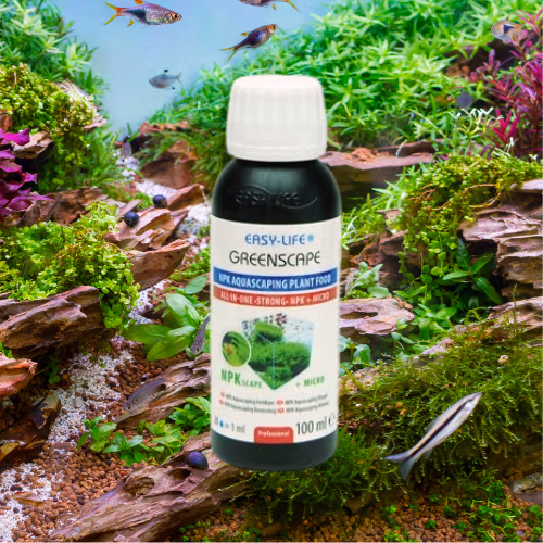 Green Scape - Plantes Vertes Exigeantes & Crevettes - EASY LIFE Le Crevettilus