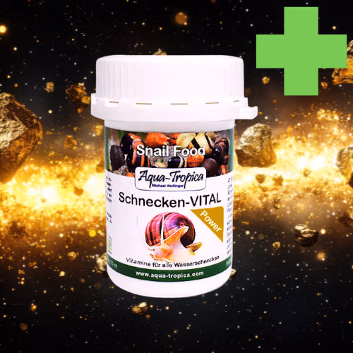 Escargot POWER - Probiotic & Détoxification - AQUA-TROPICA Le Crevettilus
