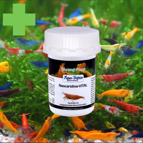 Aliment Néocaridina VITAL - Color BOOST - AQUA-TROPICA Le Crevettilus