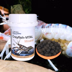 Ecrevisse Minéral VITAL – Mue & Oeufs – AQUA-TROPICA