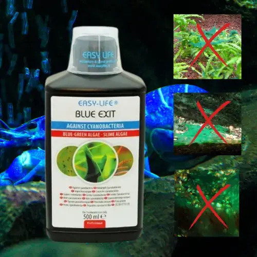 Blue Exit - Anti-Algue Bleu Cyanobactérie - 500 ml - EASY LIFE Le Crevettilus