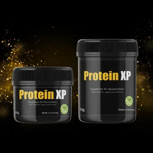 Protein XP- Croissance & Reproduction Crevettes - GLASGARTEN Le Crevettilus