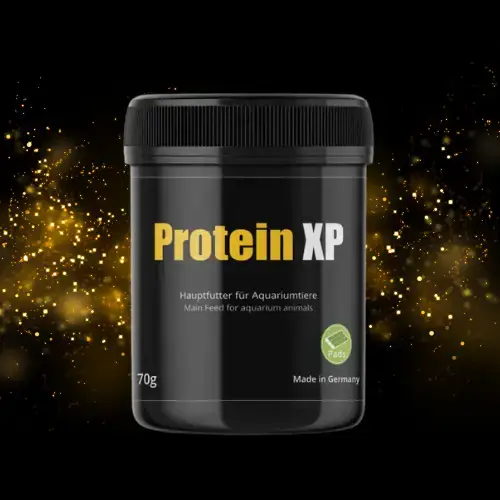 Protein XP- Croissance & Reproduction Crevettes - GLASGARTEN Le Crevettilus 70 g
