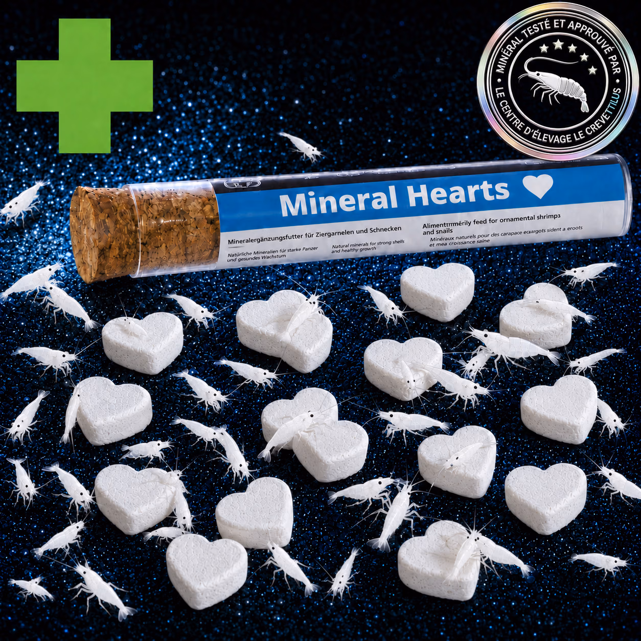 Minéral Mue pour crevette Mineral Hearts x16 GlasGarten avec crevettes blanches – Le Crevettilus