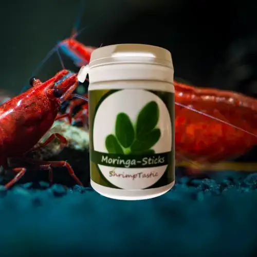 Sticks Moringa - Aliment 100% Naturel Crevettes - SHRIMPTASTIC Le Crevettilus