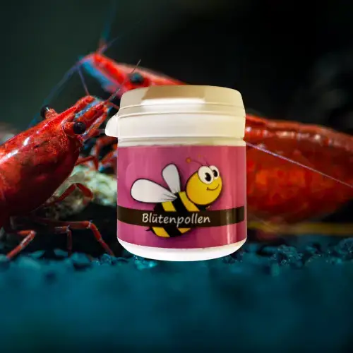 Pollen BIO - Aliment 100% Naturel Crevettes - SHRIMPTASTIC Le Crevettilus