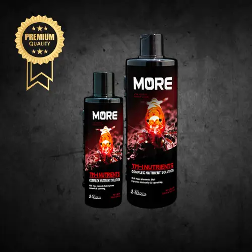 Black MORE TM-1 - Nutriment Solution pour Crevettes - SL-AQUA Le Crevettilus