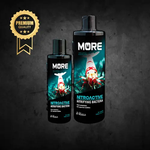 Nitroactive BLK - Bactéries Vivantes Bee Shrimp 250mL - SL AQUA Le Crevettilus