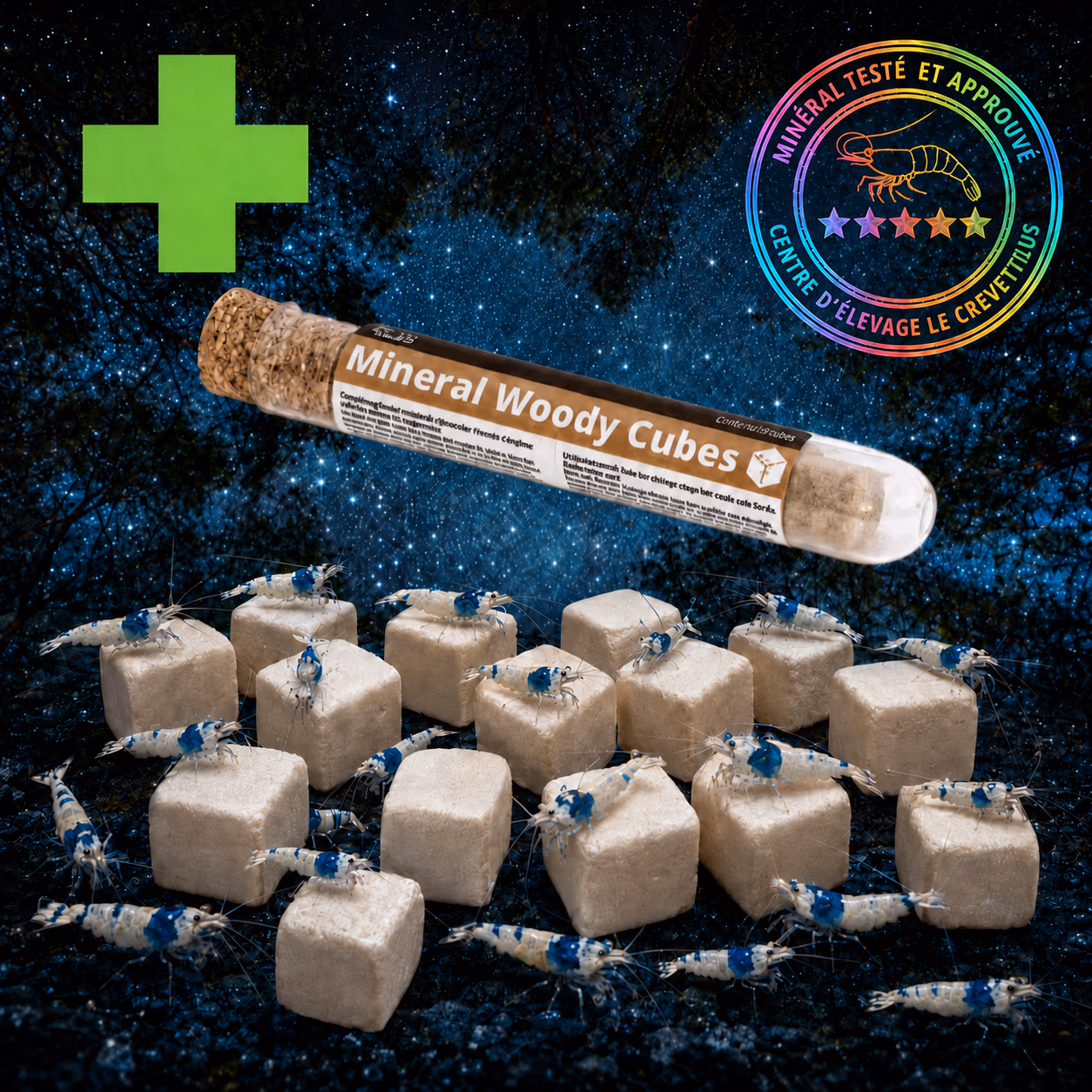 Mineral Woody Cubes x16, minéral mue et digestion pour crevettes GlasGarten, avec des Caridina Blue Bolt – Le Crevettilus
