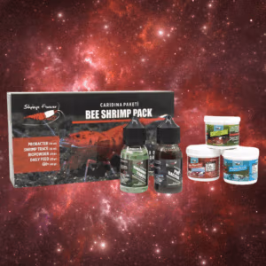 Bee Shrimp Pack – Tout en Un Pour Caridina – SHRIMP FOREVER