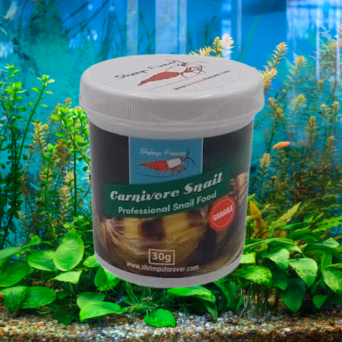 Nourriture Carnivore Anentome Helena - SHRIMP FOREVER Le Crevettilus