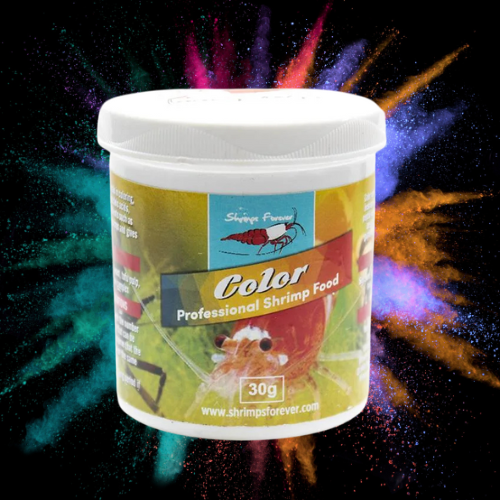 Color Sticks - Renforce Coloration Crevettes - SHRIMP FOREVER Le Crevettilus
