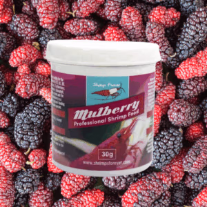 Mulberry Sticks – Nutrition & Croissance – SHRIMP FOREVER