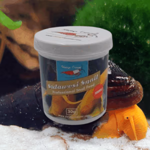Sulawesi Snail Stiks – Nourriture Escargots – SHRIMP FOREVER