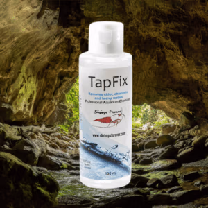 Tapfix – Conditionneur d’Eau Robinet – SHRIMP FOREVER