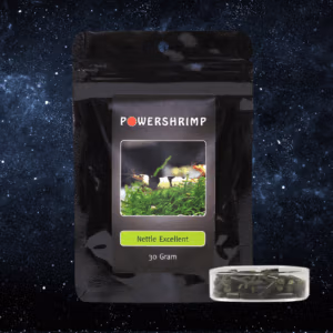 Nettle Excellent – Suprême d’Ortie –  SHRIMP POWER