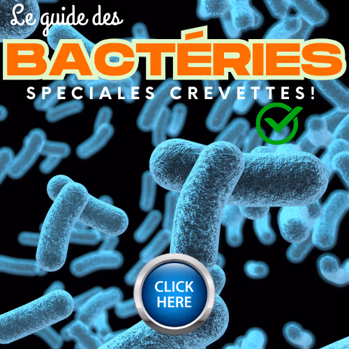 Guide bactéries spécial Crevettes par Le Crevettilus