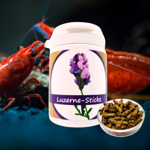 Sticks Luzerne - Aliment 100% Naturel Crevettes - SHRIMPTASTIC Le Crevettilus