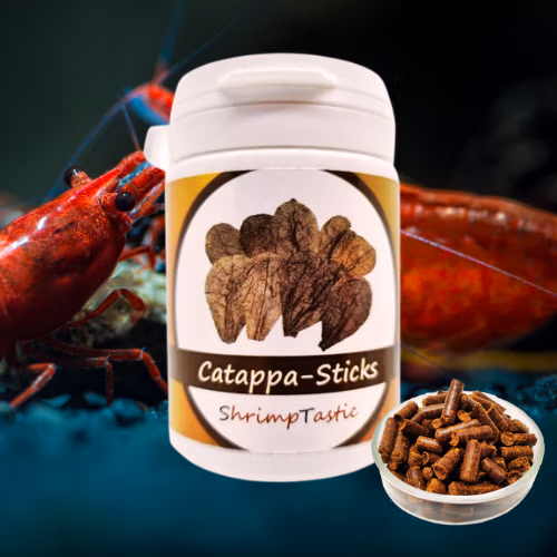Sticks Catappa - Aliment 100% Nature Crevettes - SHRIMPTASTIC Le Crevettilus