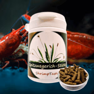Sticks Plantain – Aliment 100% Naturel Crevettes – SHRIMPTASTIC