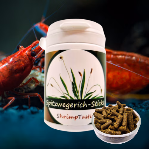 Sticks Plantain - Aliment 100% Naturel Crevettes - SHRIMPTASTIC Le Crevettilus