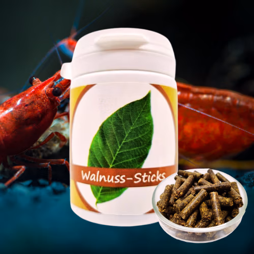 Sticks Noyer - Aliment 100% Naturel Crevettes - SHRIMPTASTIC Le Crevettilus