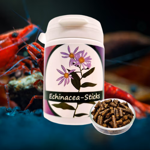 Sticks Echinacea - Aliment Naturel Crevettes - SHRIMPTASTIC Le Crevettilus