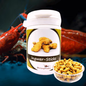 Sticks Gingembre – Aliment Naturel Crevettes – SHRIMPTASTIC
