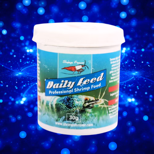 Daily Feed - Transit & Santé Crevettes - SHRIMP FOREVER Le Crevettilus