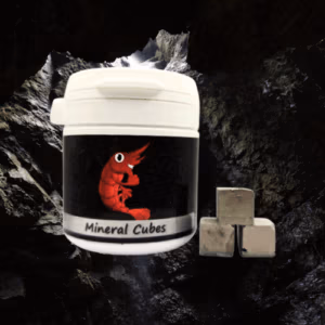 Minérals Cubes Black – Mue & Croissance Baby – SHRIMPTASTIC