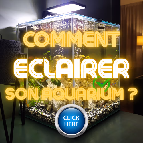 L'&eacute;clairage aquarium &agrave; crevettes Le Crevettilus