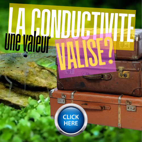 La conductivit&eacute; et aquarium &agrave; crevettes Le Crevettilus