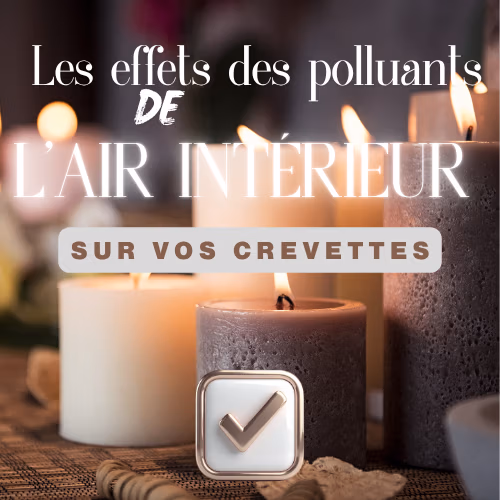 Pollution de l&rsquo;air int&eacute;rieur : effet sur les aquariums et crevettes Le Crevettilus