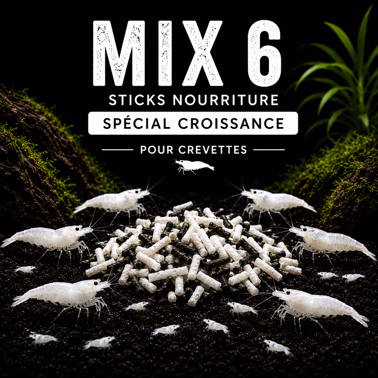 MIX 6 - Pellets Nourriture Artisanale Crevettes - Spécial Croissance Le Crevettilus