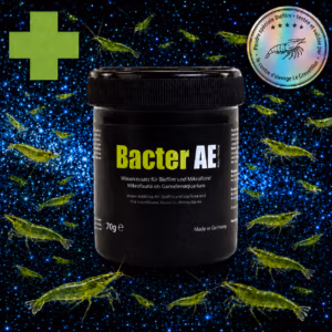 Bacter AE – Biofilm pour Crevettes – 70 g – GlasGarten