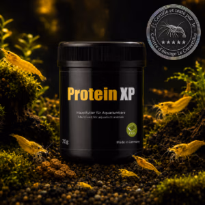 Protein XP – Croissance Reproduction Crevettes 70 g – GlasGarten